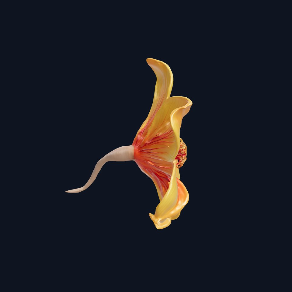 Vibrant Flower Petal Model Pack for Realistic Renderings